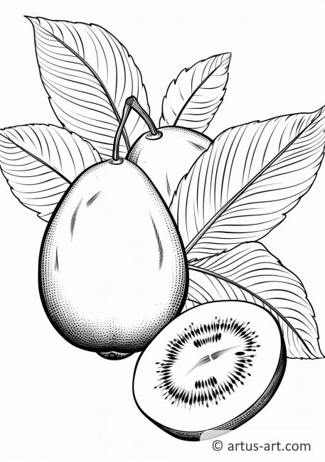 Kiwi Fruit with Leaves Coloring Page